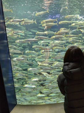 サンシャイン水族館に投稿された画像（2025/12/8）