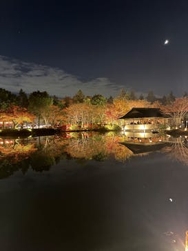 国営昭和記念公園 秋の夜散歩に投稿された画像（2025/12/8）
