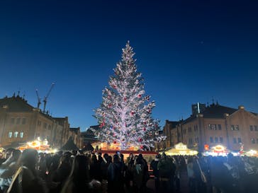 Christmas Market in 横浜赤レンガ倉庫 2025に投稿された画像（2025/12/8）