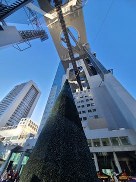 梅田スカイビル・空中庭園展望台に投稿された画像（2025/12/8）