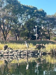 Mio（ミオ）カヤックアドベンチャーズに投稿された画像（2025/12/8）