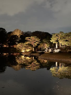 六義園に投稿された画像（2025/12/8）