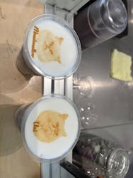 Cat Café MOFF グランベリーパーク店に投稿された画像（2025/12/8）