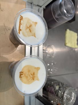 Cat Café MOFF グランベリーパーク店に投稿された画像（2025/12/8）