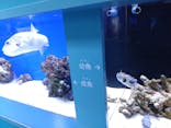 幼魚水族館に投稿された画像（2025/12/8）