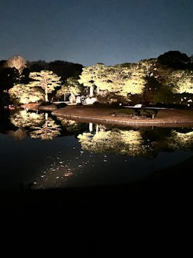 六義園に投稿された画像（2025/12/8）