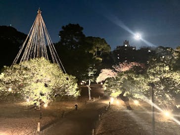 六義園に投稿された画像（2025/12/8）