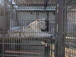宇都宮動物園に投稿された画像（2025/12/8）