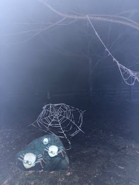 ニジゲンノモリに投稿された画像（2025/12/8）