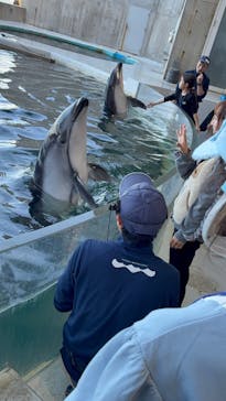 城崎マリンワールドに投稿された画像（2025/12/8）