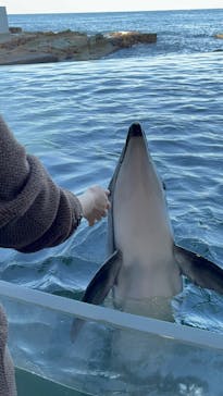 城崎マリンワールドに投稿された画像（2025/12/8）