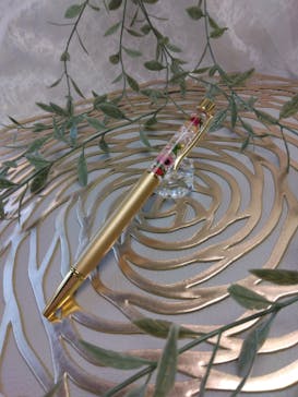 ずこうしつ〜sugamo〜に投稿された画像（2025/12/8）