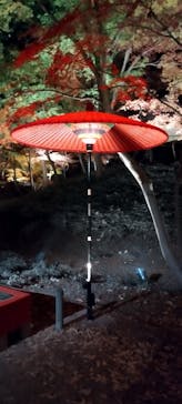 六義園に投稿された画像（2025/12/8）