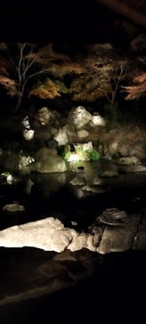 六義園に投稿された画像（2025/12/8）