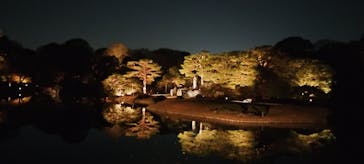 六義園に投稿された画像（2025/12/8）