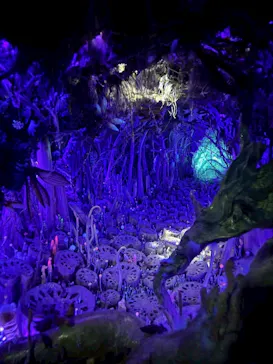 金曜ロードショーとジブリ展（静岡展）に投稿された画像（2025/12/8）