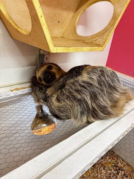 アニタッチ MARK IS 静岡に投稿された画像（2025/12/8）