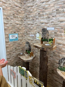 アニタッチ MARK IS 静岡に投稿された画像（2025/12/8）