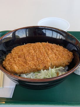 大分マリーンパレス水族館 「うみたまご」に投稿された画像（2025/12/8）