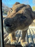 東京動物園協会_多摩動物公園に投稿された画像（2025/12/8）