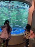 しながわ水族館に投稿された画像（2025/12/8）