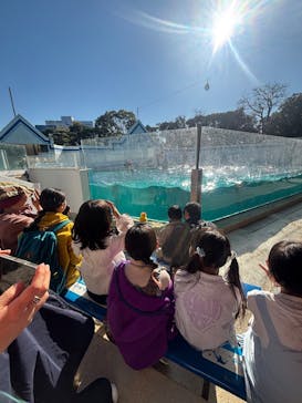 しながわ水族館に投稿された画像（2025/12/8）
