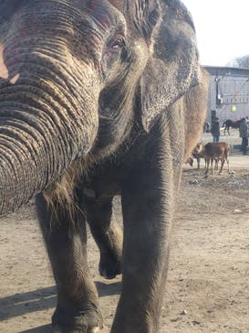 那須サファリパークに投稿された画像（2025/12/8）