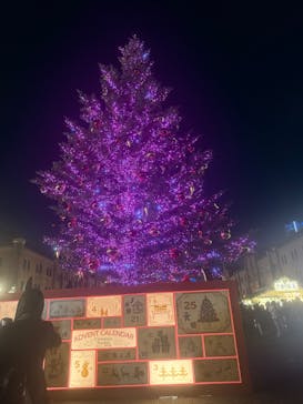 Christmas Market in 横浜赤レンガ倉庫 2025に投稿された画像（2025/12/8）