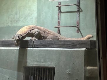 名古屋市東山動植物園に投稿された画像（2025/12/8）