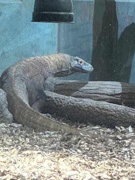 名古屋市東山動植物園に投稿された画像（2025/12/8）