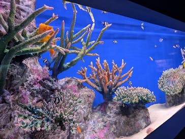 シン・マリホ水族館に投稿された画像（2025/12/8）