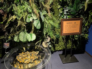 シン・マリホ水族館に投稿された画像（2025/12/8）