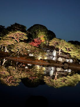 六義園に投稿された画像（2025/12/8）