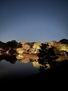 六義園に投稿された画像（2025/12/8）