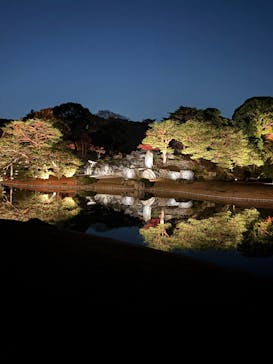 六義園に投稿された画像（2025/12/8）