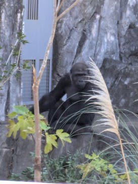 千葉市動物公園に投稿された画像（2025/12/8）