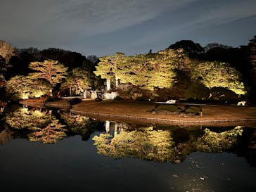 六義園に投稿された画像（2025/12/8）