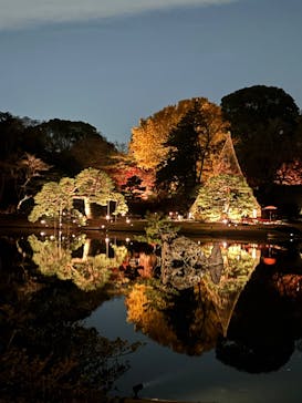 六義園に投稿された画像（2025/12/8）