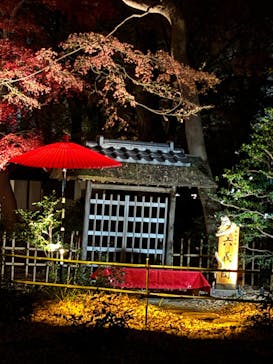 六義園に投稿された画像（2025/12/8）