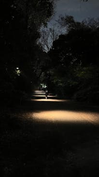 六義園に投稿された画像（2025/12/8）