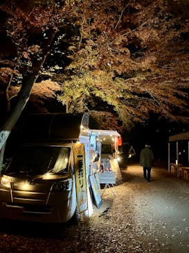 六義園に投稿された画像（2025/12/8）