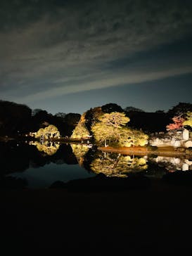 六義園に投稿された画像（2025/12/8）