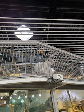 NIFREL（ニフレル）に投稿された画像（2025/12/8）