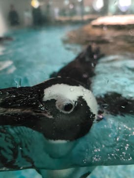 NIFREL（ニフレル）に投稿された画像（2025/12/8）