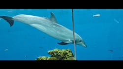 横浜・八景島シーパラダイス　プレジャーランドに投稿された画像（2025/12/8）