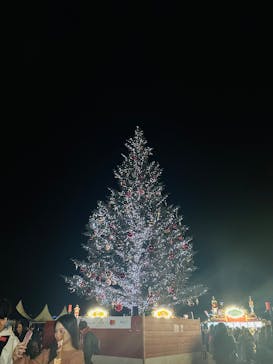 Christmas Market in 横浜赤レンガ倉庫 2025に投稿された画像（2025/12/8）