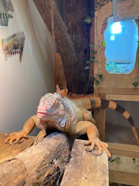 アニタッチららぽーと名古屋みなとアクルスに投稿された画像（2025/12/8）