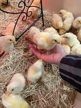 アニタッチららぽーと名古屋みなとアクルスに投稿された画像（2025/12/8）