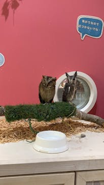 アニタッチららぽーと名古屋みなとアクルスに投稿された画像（2025/12/8）