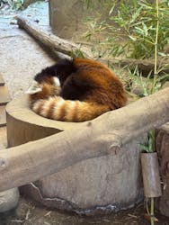 多摩動物公園に投稿された画像（2025/12/8）